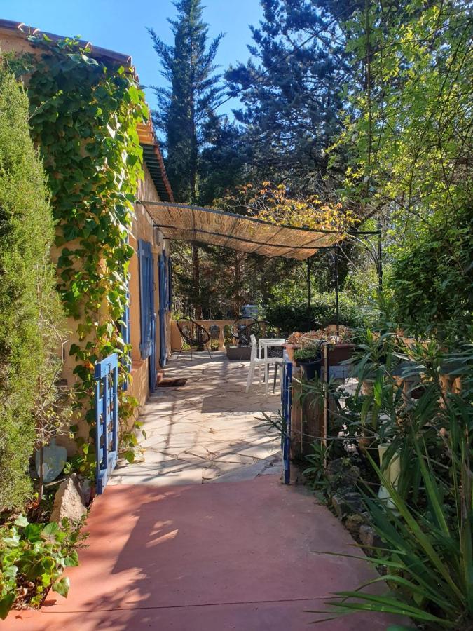 Au Mas Saint Pierre Hotel Pignans Kültér fotó